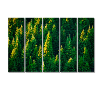 Summer Spruce Forest Canvas Print-Canvas Print-CetArt-5 Panels-36x24 inches-CetArt