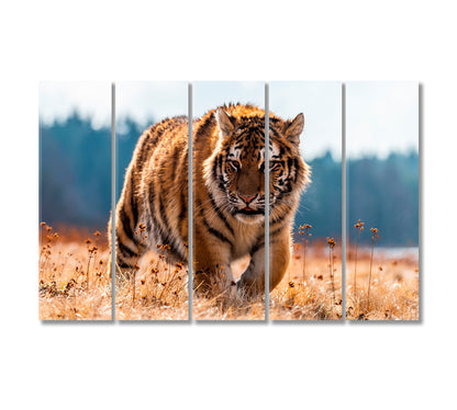 Siberian Tiger Canvas Print-Canvas Print-CetArt-5 Panels-36x24 inches-CetArt
