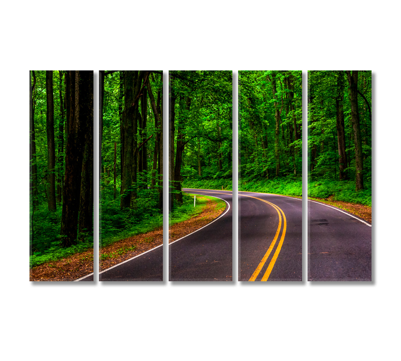 Skyline Drive in Shenandoah National Park Virginia Canvas Print-Canvas Print-CetArt-5 Panels-36x24 inches-CetArt