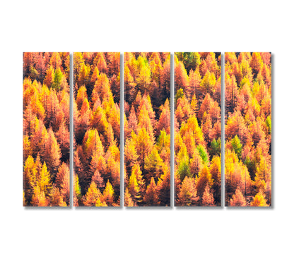 Beautiful Autumn Forest Swiss Alps Canvas Print-Canvas Print-CetArt-5 Panels-36x24 inches-CetArt