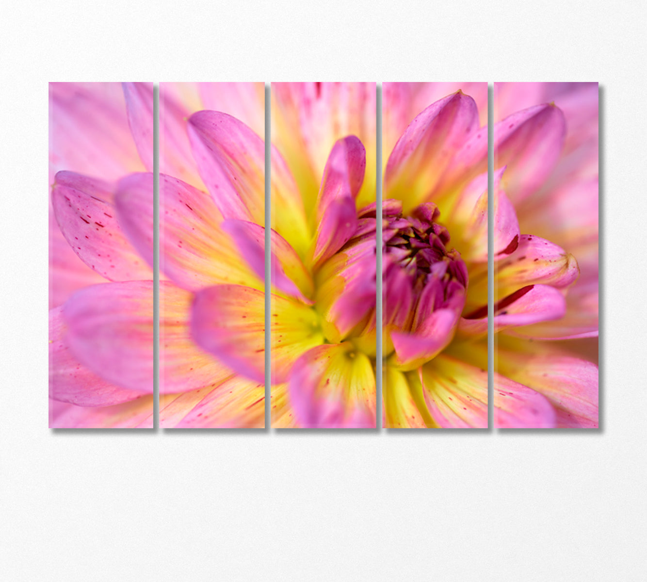 Dahlia Flower Canvas Print-Canvas Print-CetArt-5 Panels-36x24 inches-CetArt