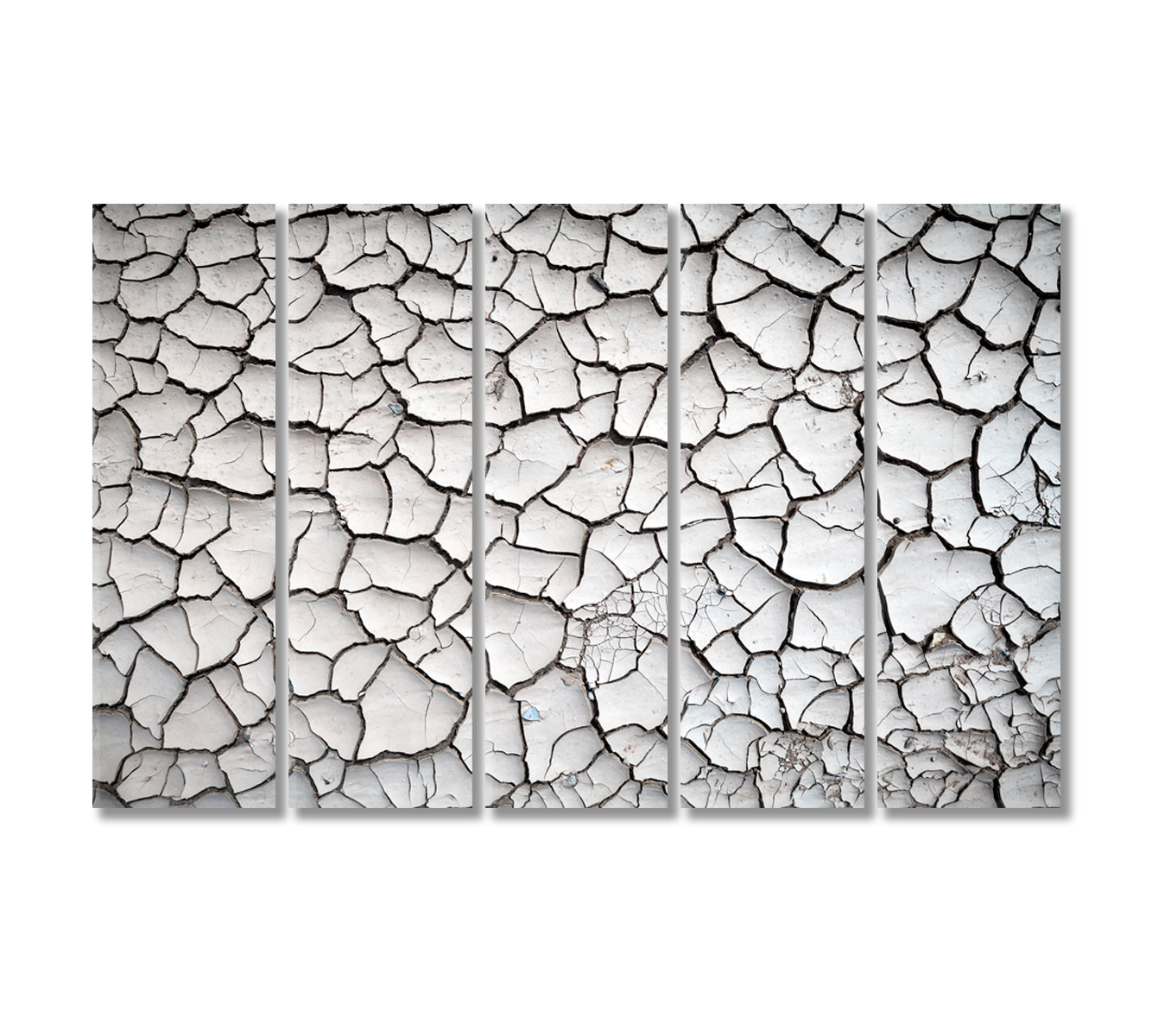Cracked Land Canvas Print-Canvas Print-CetArt-5 Panels-36x24 inches-CetArt