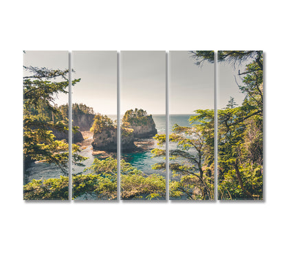 Cape Flattery Landscape Washington State USA Canvas Print-Canvas Print-CetArt-5 Panels-36x24 inches-CetArt