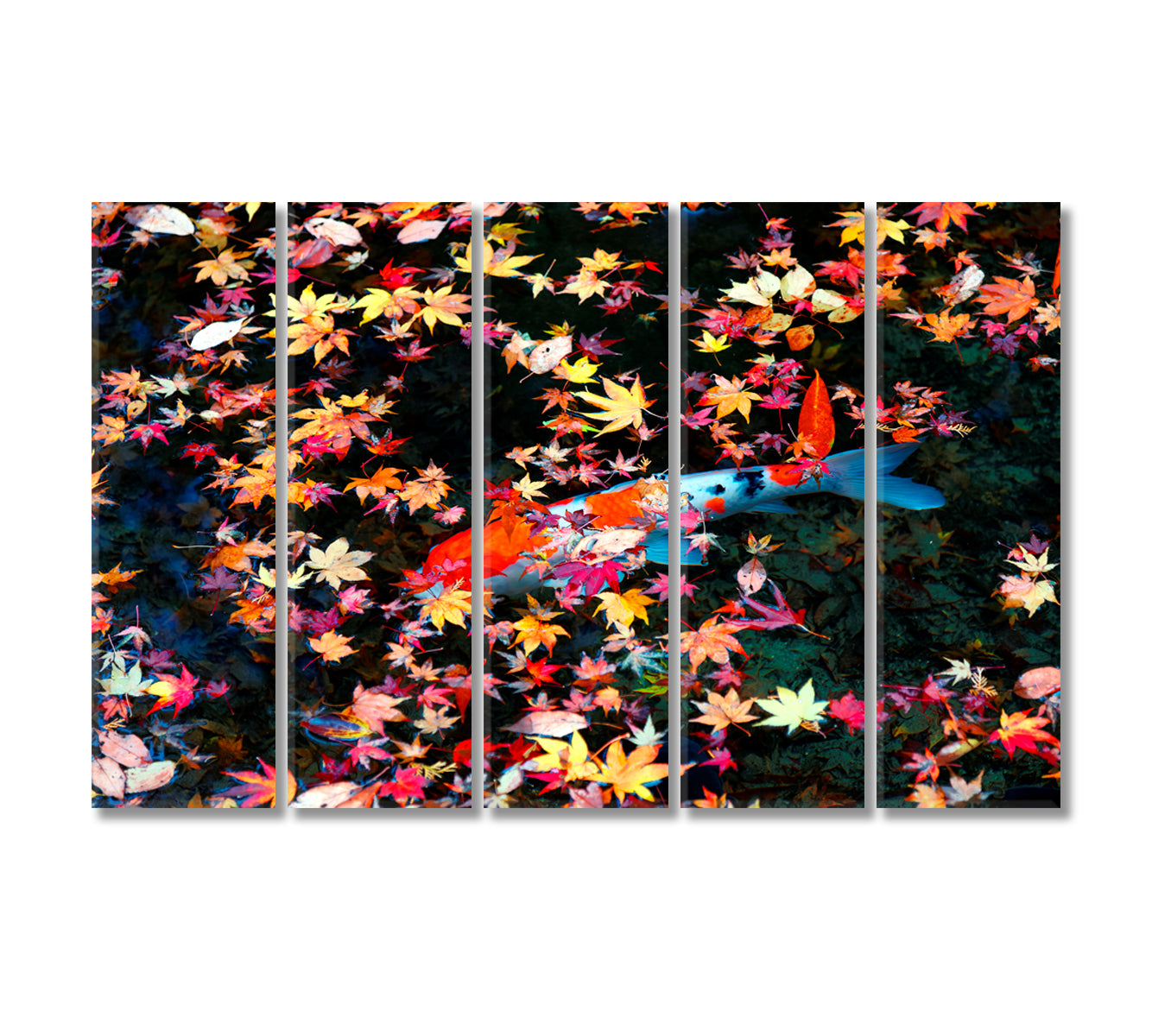 Koi Fish Fancy Carp in Pond with Maple Leaves Canvas Print-Canvas Print-CetArt-5 Panels-36x24 inches-CetArt