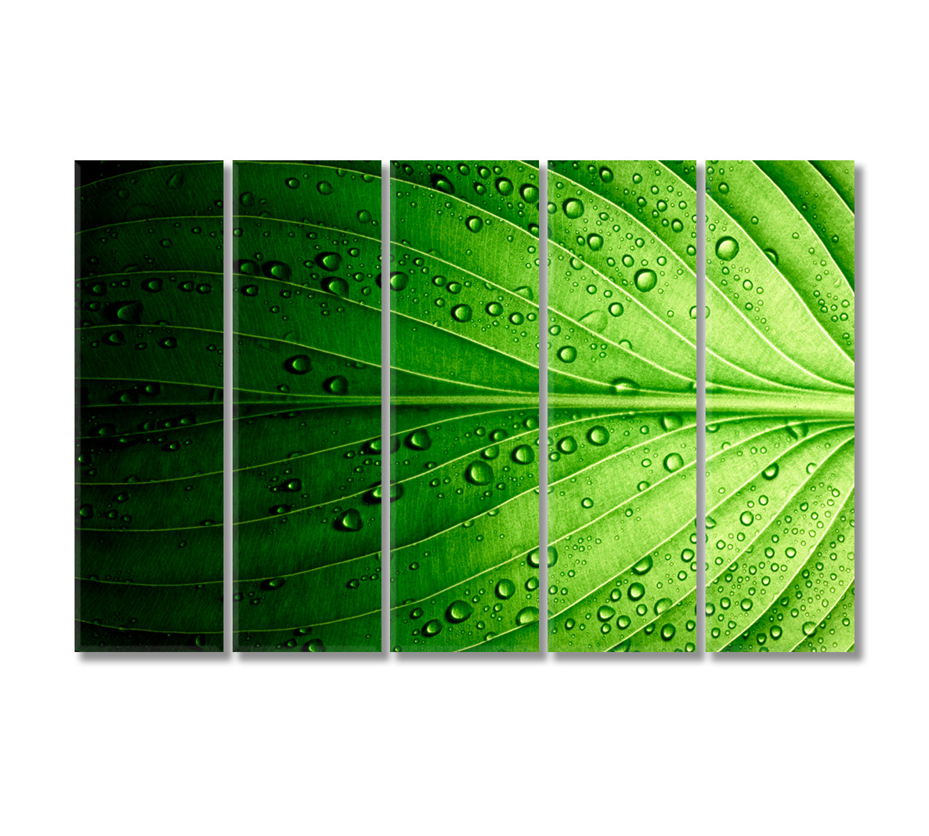 Beautiful Green Leaf Canvas Print-Canvas Print-CetArt-5 Panels-36x24 inches-CetArt