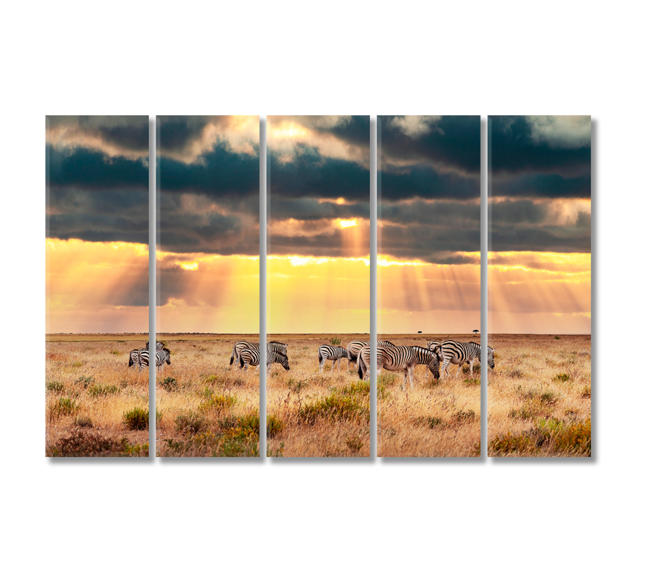 African Zebras Graze on Dry Savannah Pastures Canvas Print-Canvas Print-CetArt-5 Panels-36x24 inches-CetArt