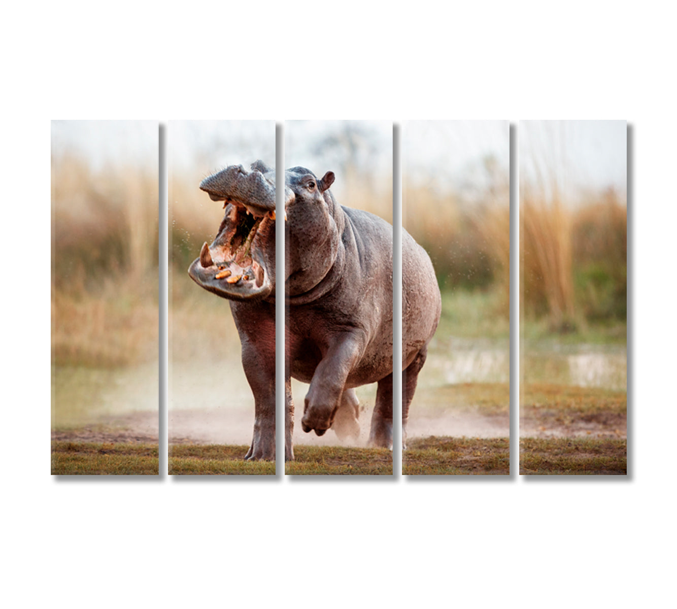 Wild Aggressive Hippopotamus Africa Canvas Print-Canvas Print-CetArt-5 Panels-36x24 inches-CetArt