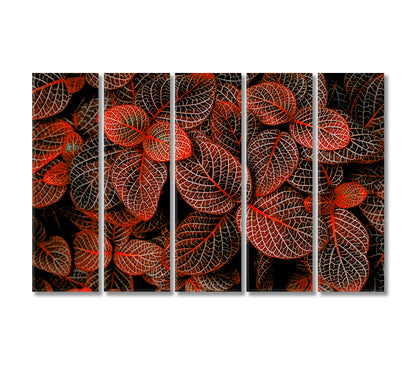 Tropical Red Leaves Fittonia Verschaffeltii Canvas Print-Canvas Print-CetArt-5 Panels-36x24 inches-CetArt