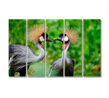 Grey Crowned Crane Birds Canvas Print-Canvas Print-CetArt-5 Panels-36x24 inches-CetArt