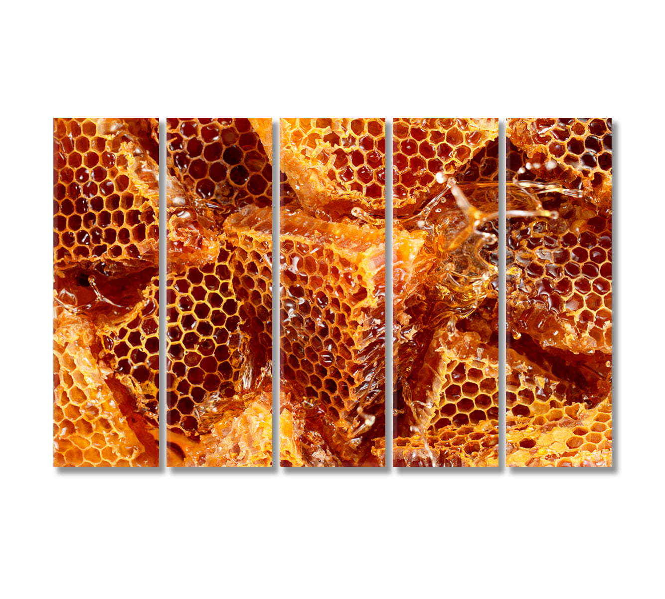 Honeycombs with Honey Canvas Print-Canvas Print-CetArt-5 Panels-36x24 inches-CetArt