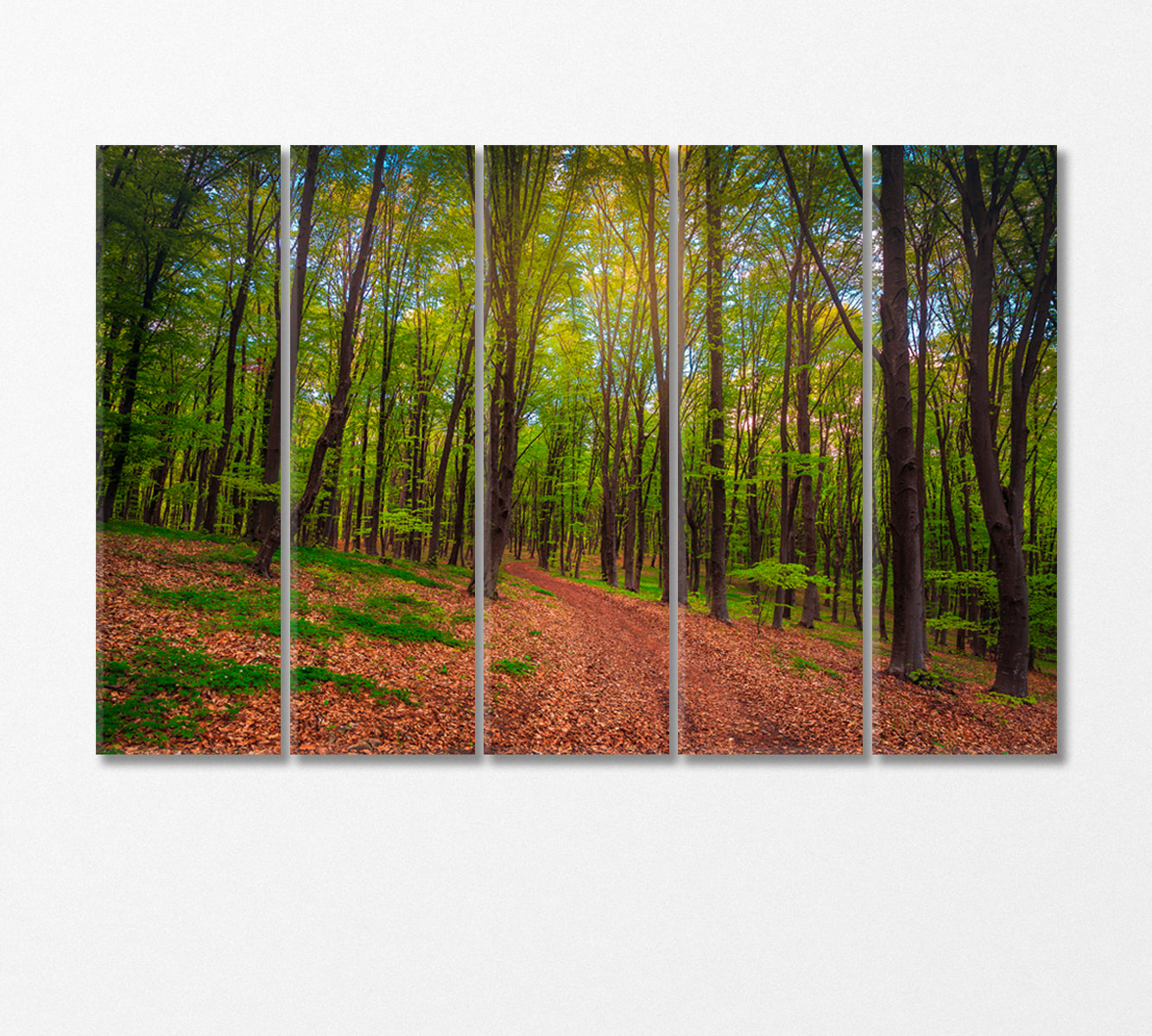 Spring Forest Landscape Canvas Print-Canvas Print-CetArt-5 Panels-36x24 inches-CetArt