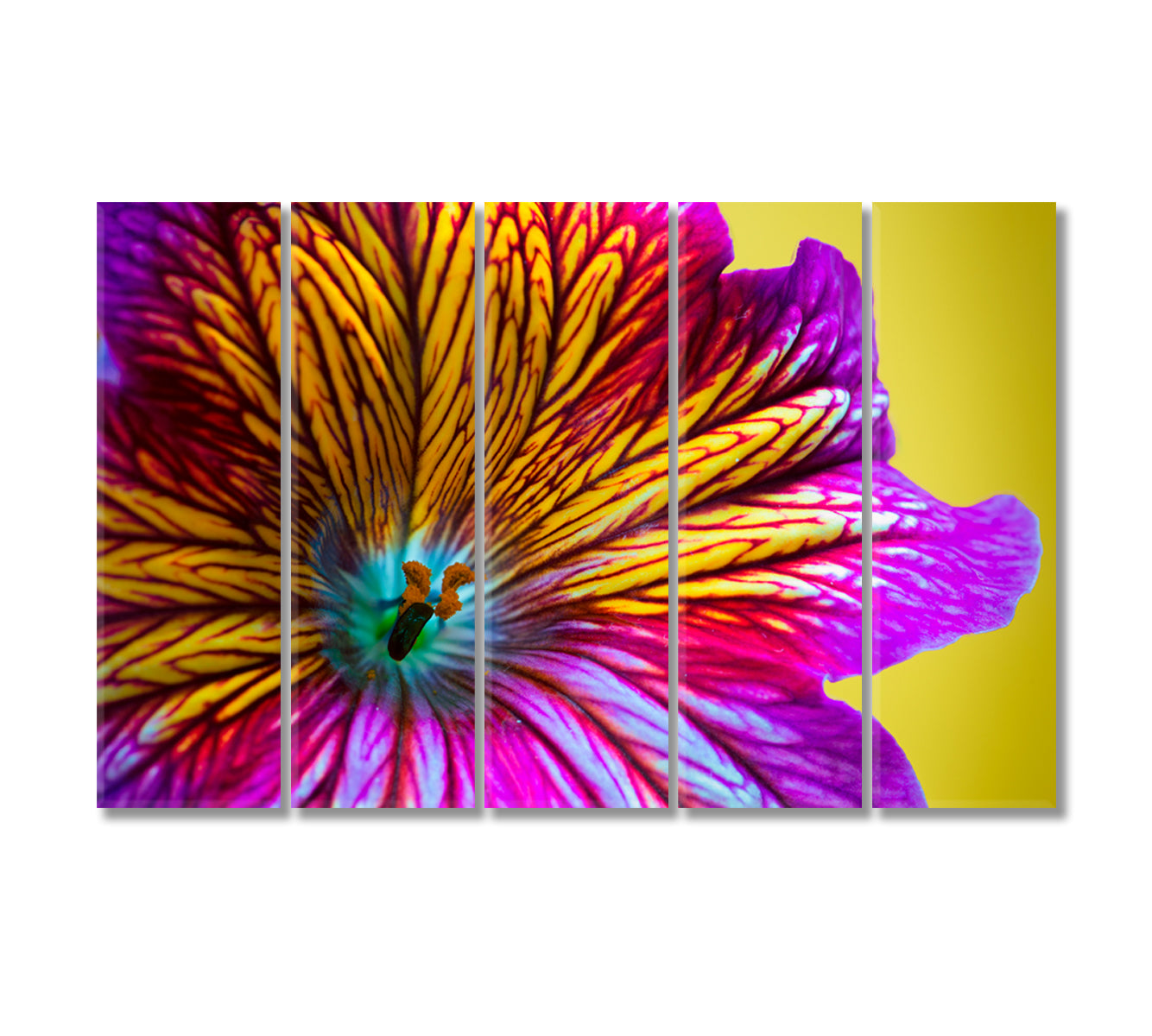 Purple and Yellow Flower Canvas Print-Canvas Print-CetArt-5 Panels-36x24 inches-CetArt