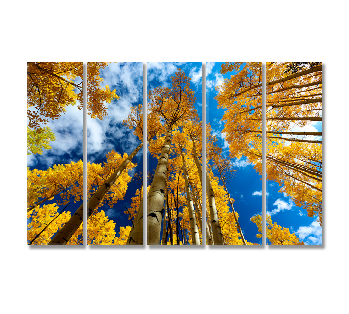 Yellow Aspen Trees in Autumn Colorado Canvas Print-Canvas Print-CetArt-5 Panels-36x24 inches-CetArt