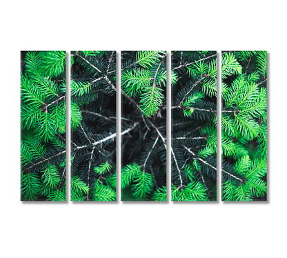 Green Spruce Needles Canvas Print-Canvas Print-CetArt-5 Panels-36x24 inches-CetArt
