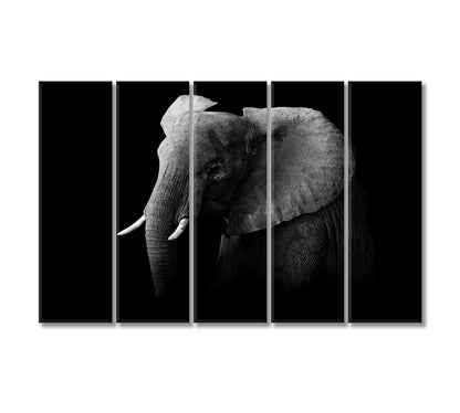 African Elephant in Black and White Canvas Print-Canvas Print-CetArt-5 Panels-36x24 inches-CetArt