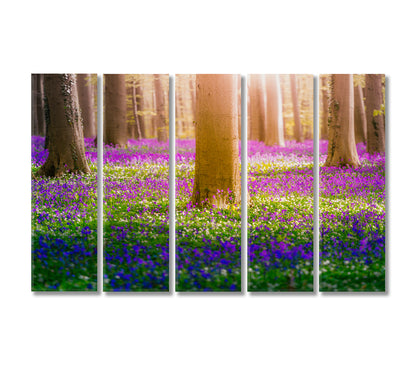 Bluebell Flowers in Hallerbos Forest Belgium Canvas Print-Canvas Print-CetArt-5 Panels-36x24 inches-CetArt