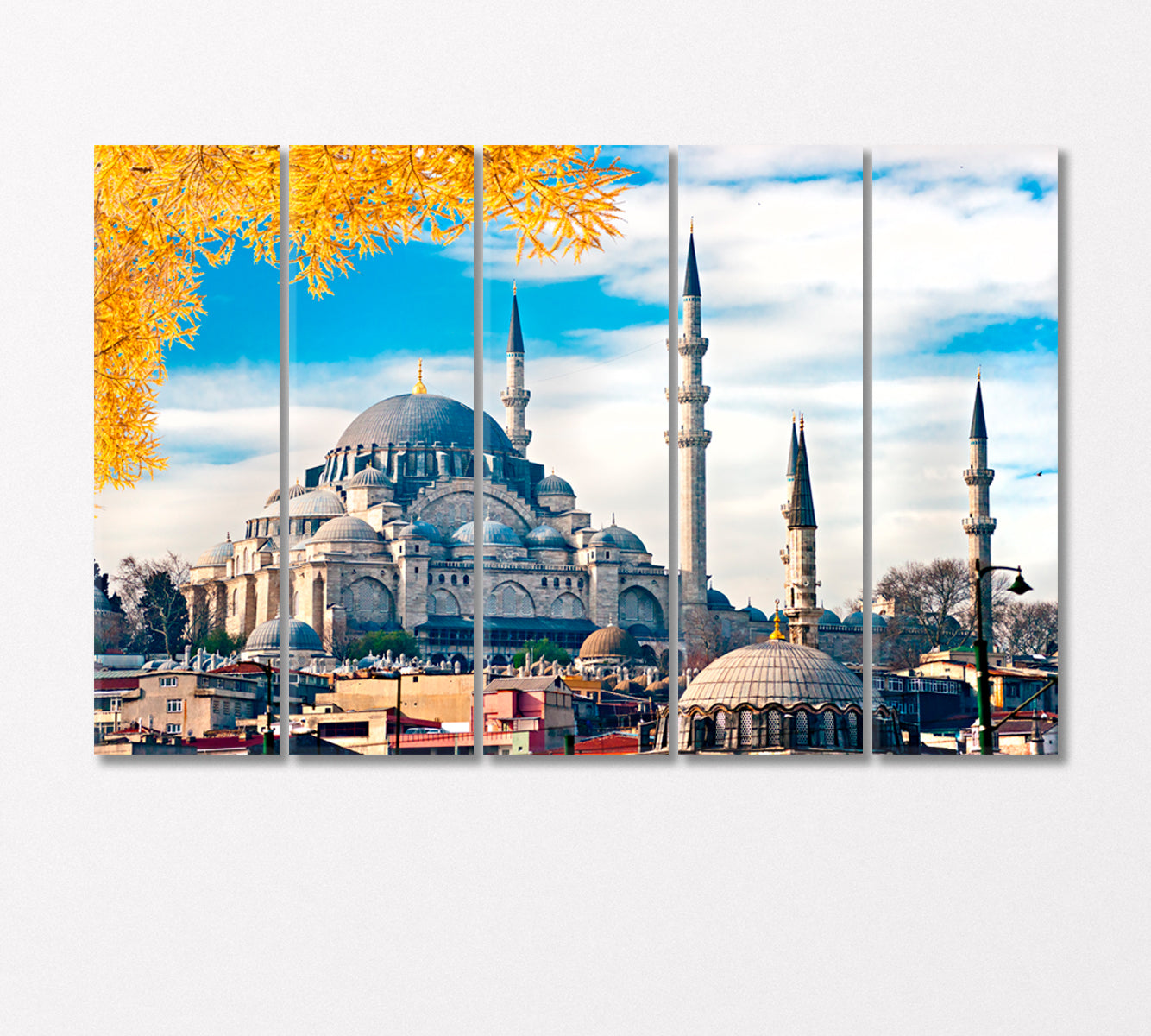 Suleymaniye Mosque Istanbul Turkey Canvas Print-Canvas Print-CetArt-5 Panels-36x24 inches-CetArt