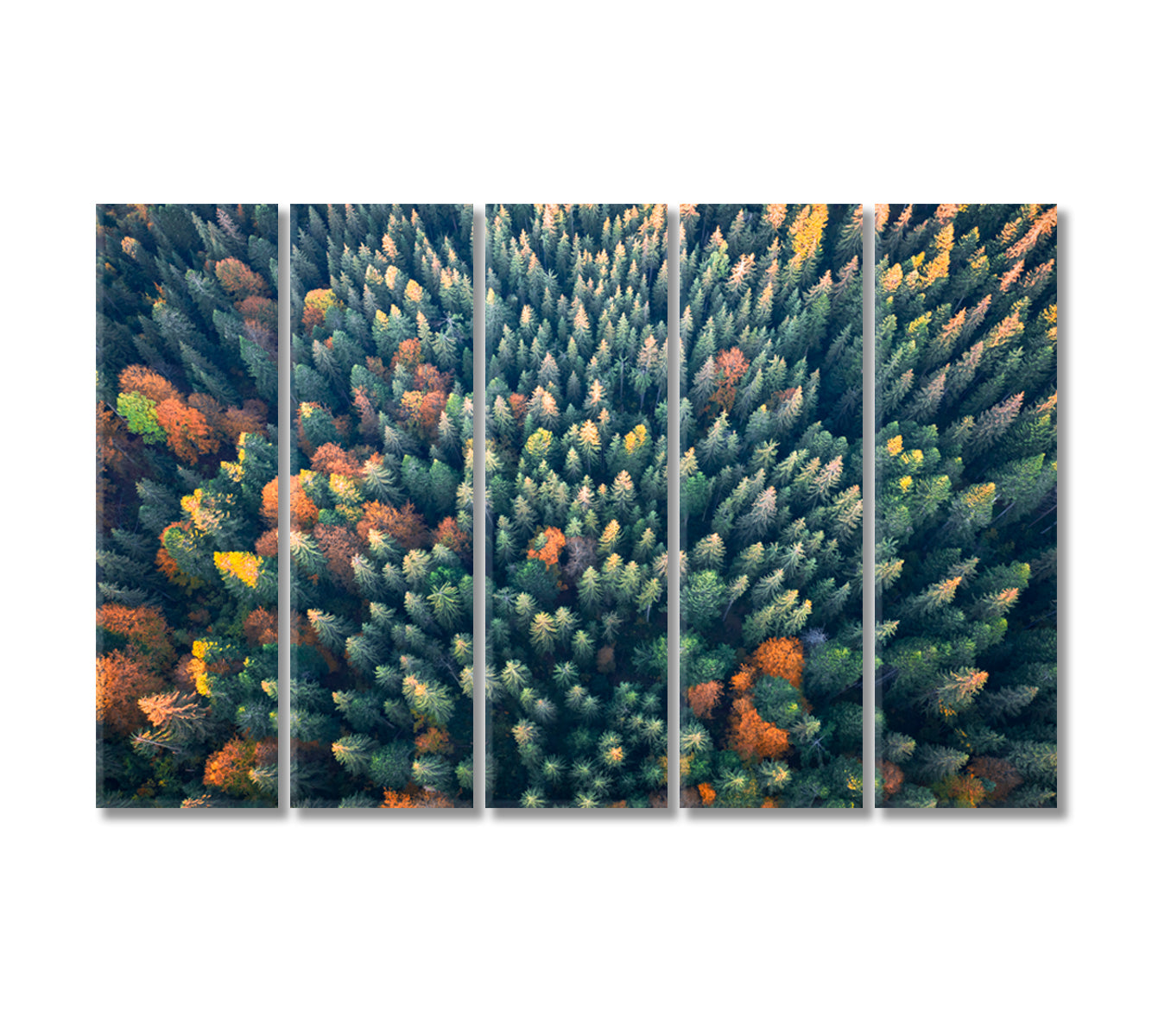 Yellow and Green Autumn Trees in Colorful Forest Canvas Print-Canvas Print-CetArt-5 Panels-36x24 inches-CetArt