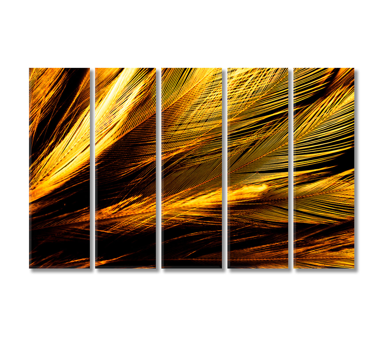 Beautiful Abstract Feathers Canvas Print-Canvas Print-CetArt-5 Panels-36x24 inches-CetArt