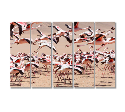 Flamingo Bird Namibia Africa Canvas Print-Canvas Print-CetArt-5 Panels-36x24 inches-CetArt