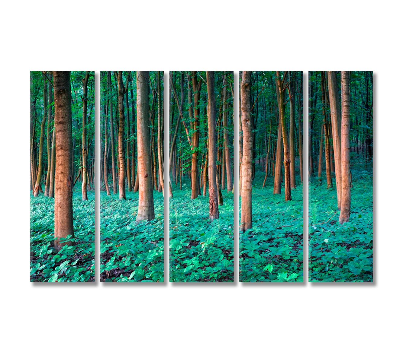 Oak Forest Canvas Print-Canvas Print-CetArt-5 Panels-36x24 inches-CetArt