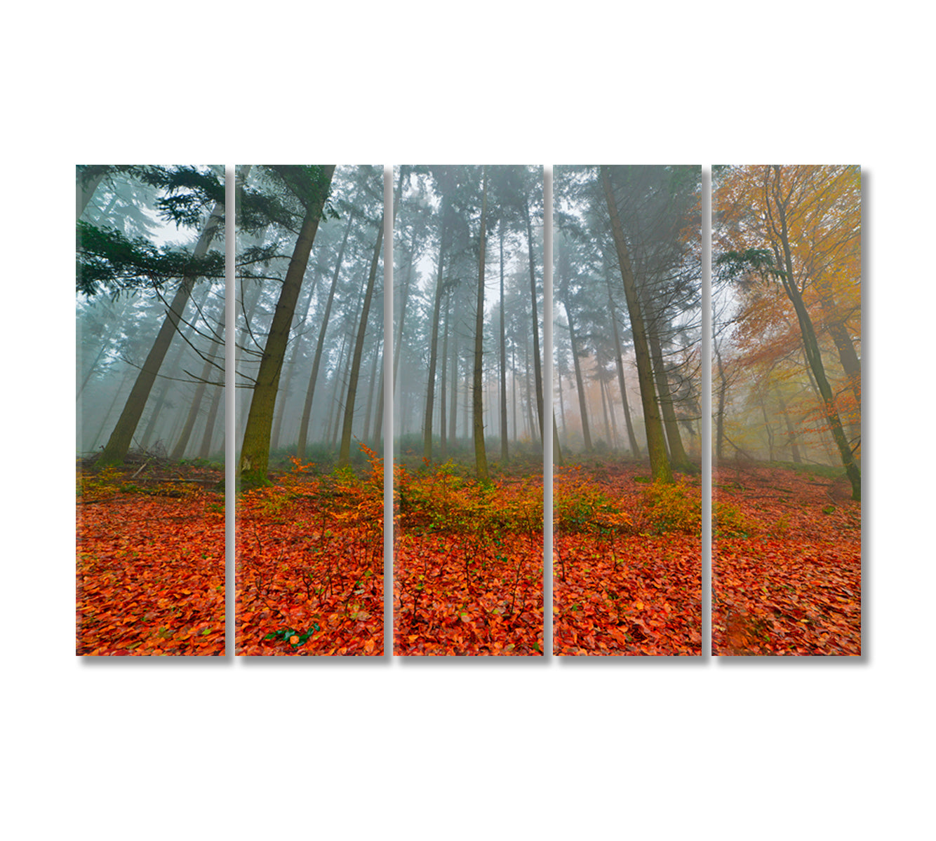 Foggy Autumn Pine Forest Canvas Print-Canvas Print-CetArt-5 Panels-36x24 inches-CetArt