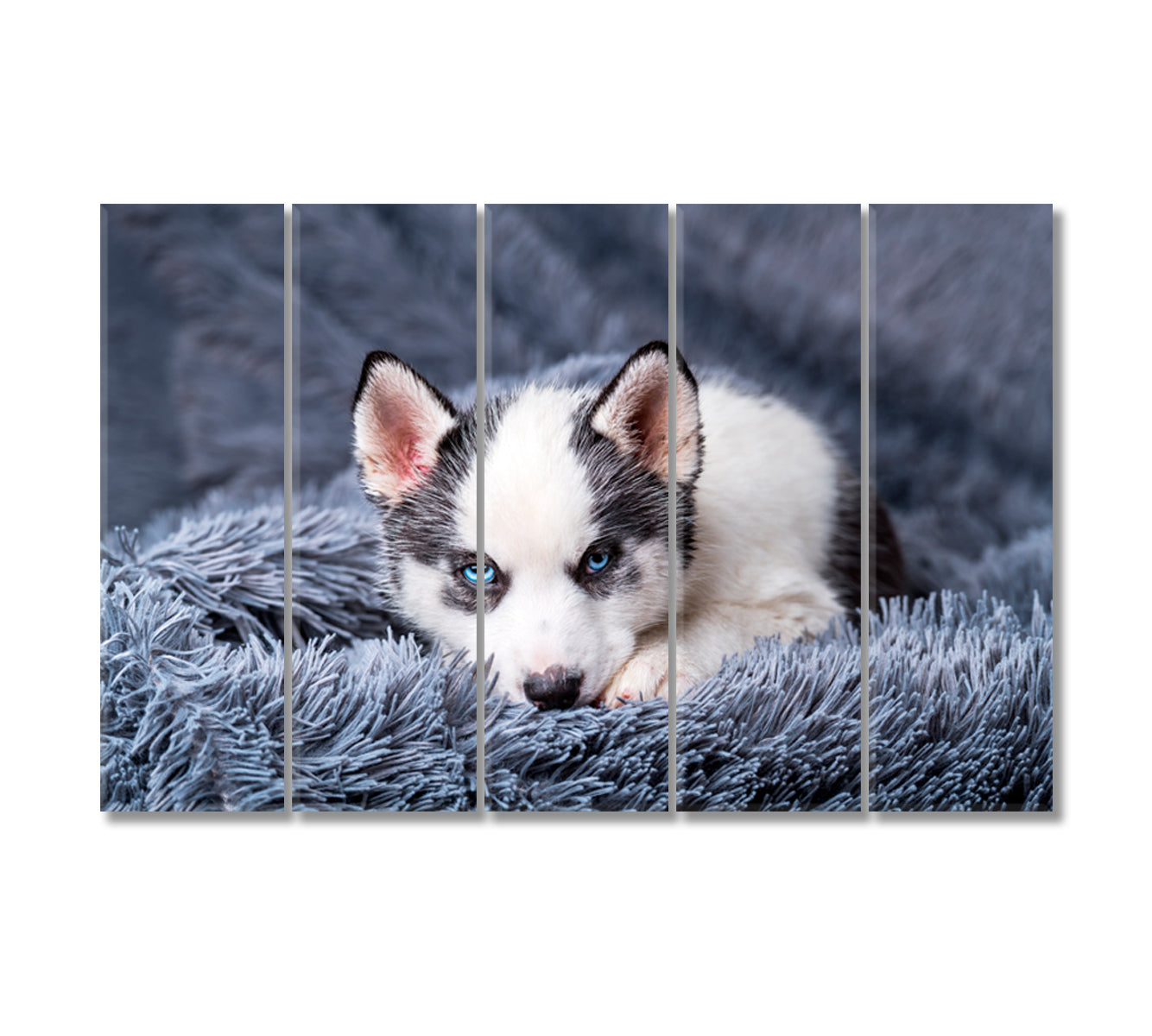 Cute Husky Puppy Canvas Print-Canvas Print-CetArt-5 Panels-36x24 inches-CetArt