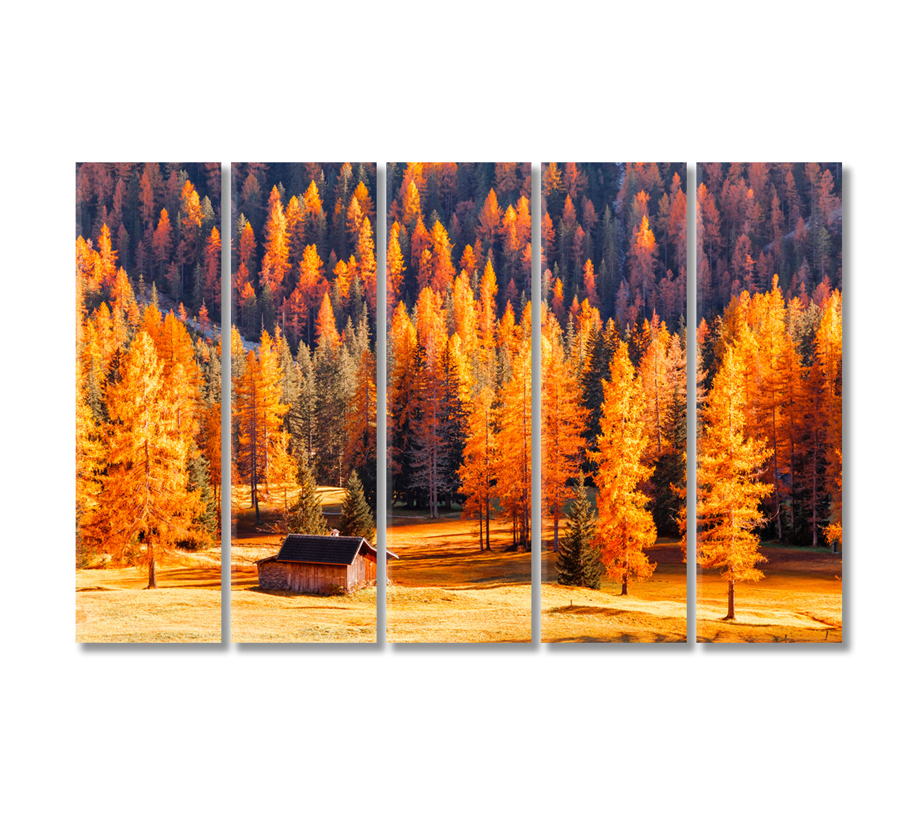 Wooden House Surrounded by Autumn Dolomites Trees Canvas Print-Canvas Print-CetArt-5 Panels-36x24 inches-CetArt