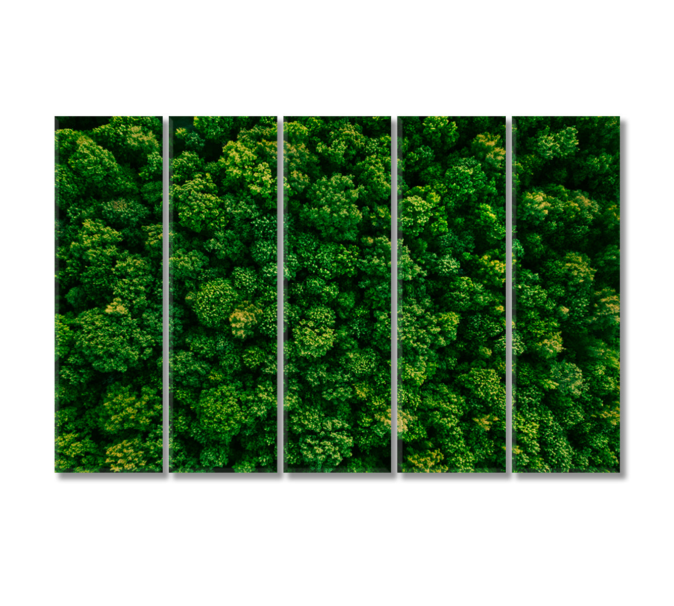 Summer Forest Canvas Print-Canvas Print-CetArt-5 Panels-36x24 inches-CetArt