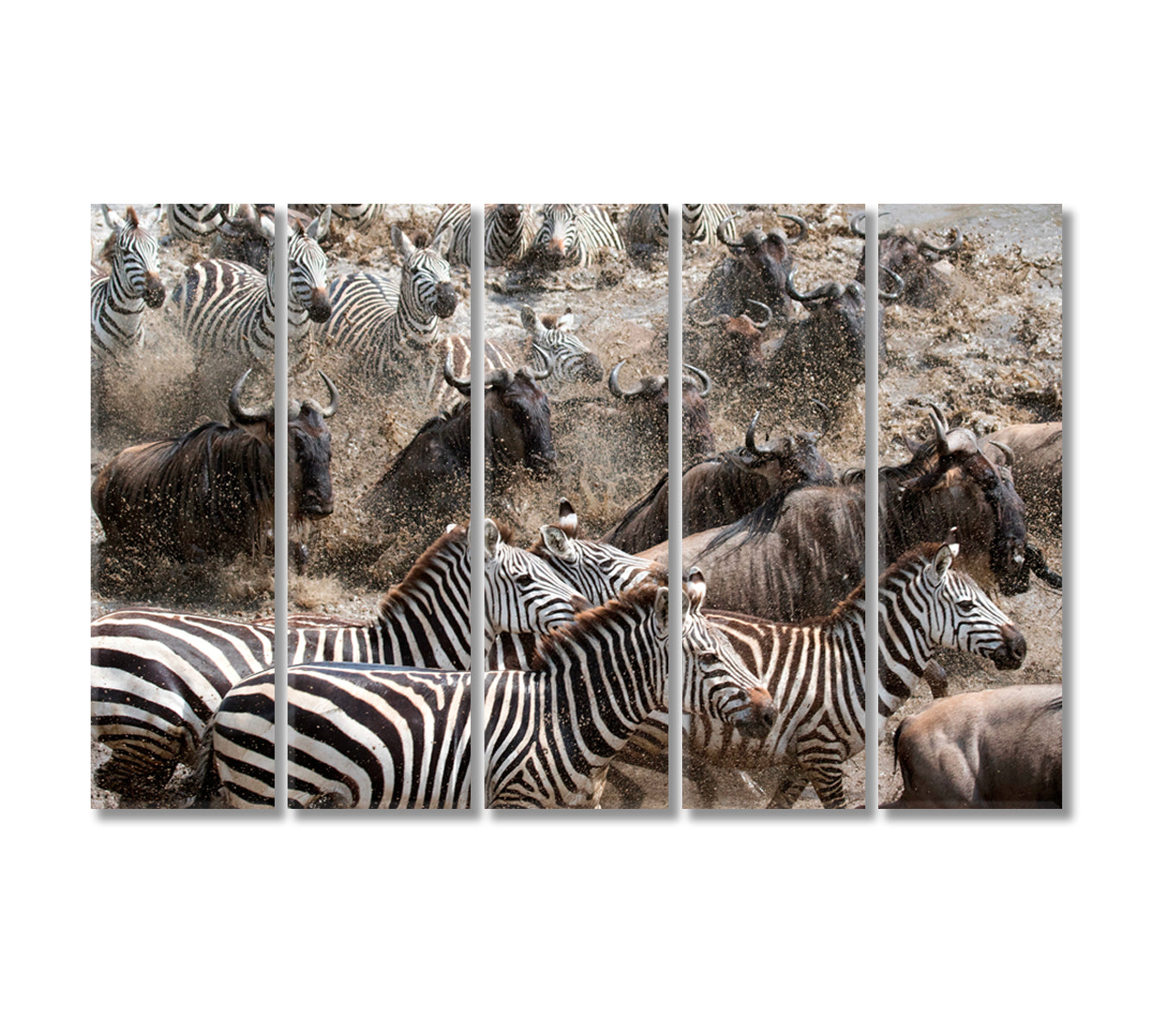 Wild Zebra and Wildebeest Migration Canvas Print-Canvas Print-CetArt-5 Panels-36x24 inches-CetArt