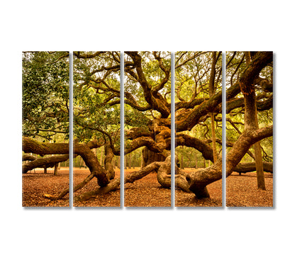 Angel Oak Tree Johns Island South Carolina USA Canvas Print-Canvas Print-CetArt-5 Panels-36x24 inches-CetArt