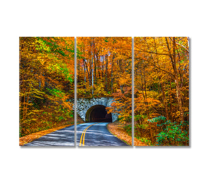 Blue Ridge Parkway Tunnel During Fall North Carolina Canvas Print-Canvas Print-CetArt-3 Panels-36x24 inches-CetArt