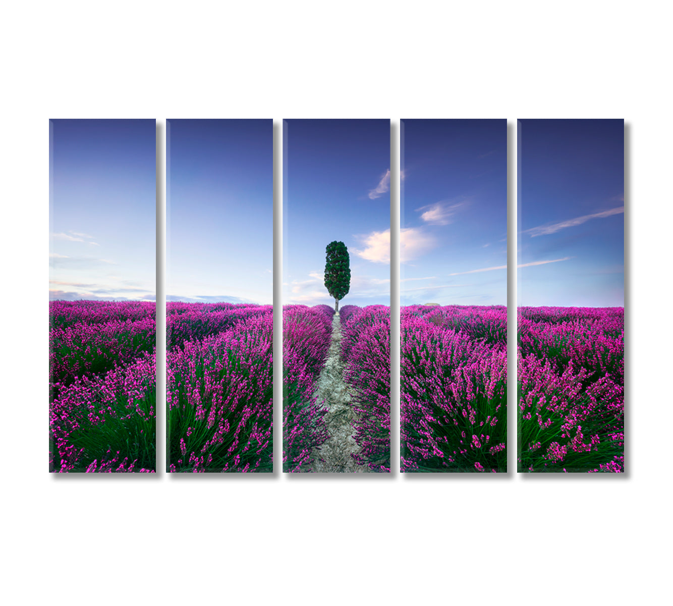 Lavender Fields at Sunset Italy Canvas Print-Canvas Print-CetArt-5 Panels-36x24 inches-CetArt