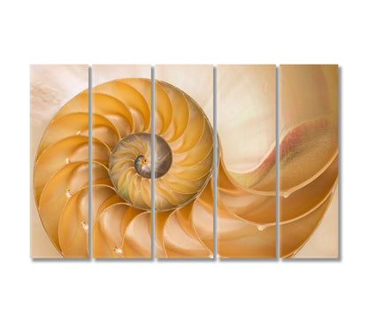 Nautilus Seashell Canvas Print-Canvas Print-CetArt-5 Panels-36x24 inches-CetArt