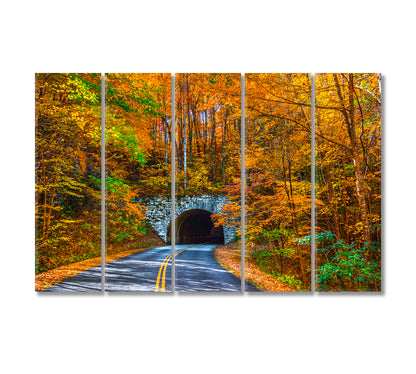 Blue Ridge Parkway Tunnel During Fall North Carolina Canvas Print-Canvas Print-CetArt-5 Panels-36x24 inches-CetArt