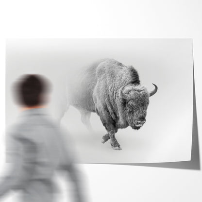 Bison Black And White Posters-Horizontal Posters NOT FRAMED-CetArt-10″x8″ inches-CetArt