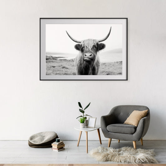 Black and White Scottish Highland Cow Room Posters-Horizontal Posters NOT FRAMED-CetArt-10″x8″ inches-CetArt