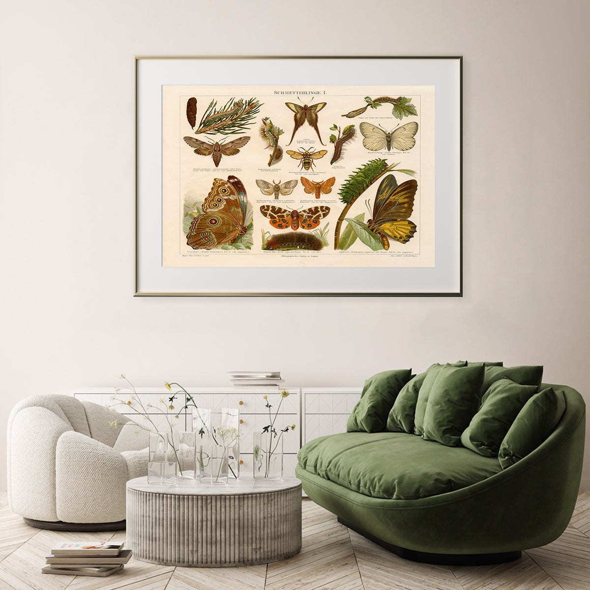 Antique Butterflies Vintage Posters-Horizontal Posters NOT FRAMED-CetArt-10″x8″ inches-CetArt