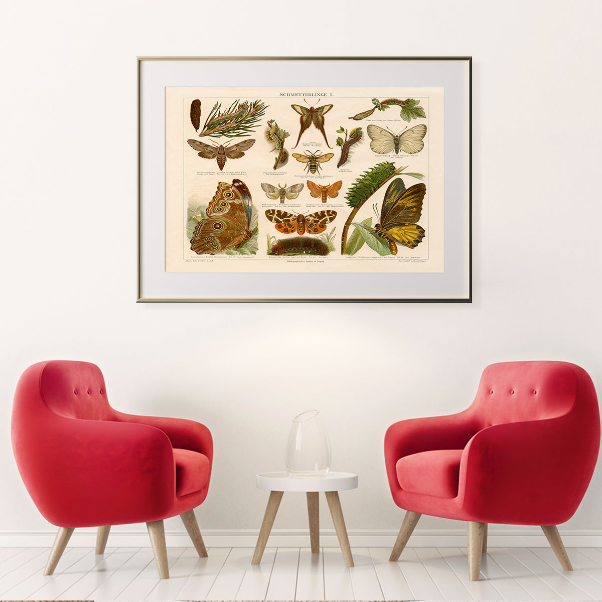 Antique Butterflies Vintage Posters-Horizontal Posters NOT FRAMED-CetArt-10″x8″ inches-CetArt