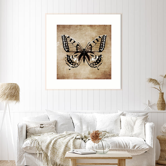 Vintage Butterfly Posters Art Prints For Your Wall-Square Posters NOT FRAMED-CetArt-8″x8″ inches-CetArt