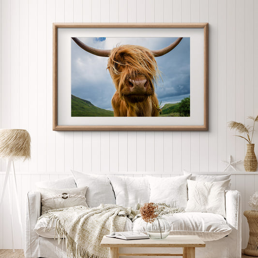 Highland Cow Poster Decorations Ideas-Horizontal Posters NOT FRAMED-CetArt-10″x8″ inches-CetArt