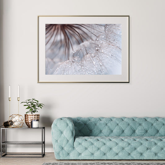 Tender Dandelion with Water Drops Posters Art Prints For Your Wall-Horizontal Posters NOT FRAMED-CetArt-10″x8″ inches-CetArt