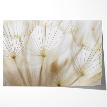 Beige Dandelion Seeds Posters For Home Decor-Horizontal Posters NOT FRAMED-CetArt-10″x8″ inches-CetArt