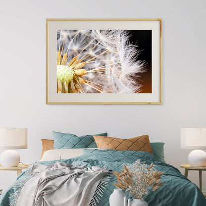 Macro Dandelion Seeds Posters For Living Room-Horizontal Posters NOT FRAMED-CetArt-10″x8″ inches-CetArt
