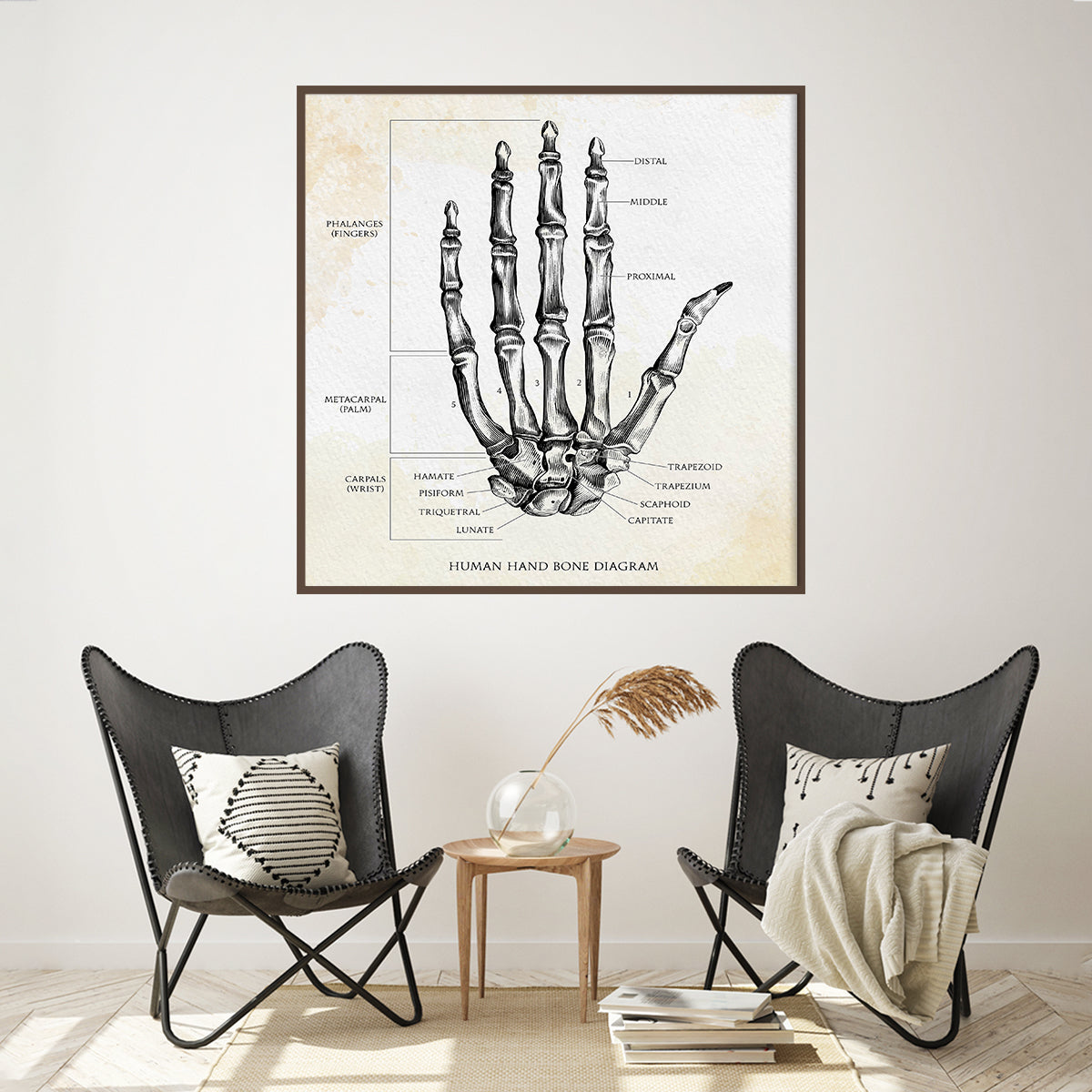 Human Hand Bone Vintage Modern Abstract Art Posters-Square Posters NOT FRAMED-CetArt-8″x8″ inches-CetArt