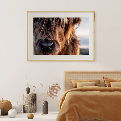 Highland Cow Posters Decoration for Interior-Horizontal Posters NOT FRAMED-CetArt-10″x8″ inches-CetArt