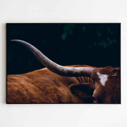 Highland Cow Silhouette Poster Wall Decor-Horizontal Posters NOT FRAMED-CetArt-10″x8″ inches-CetArt