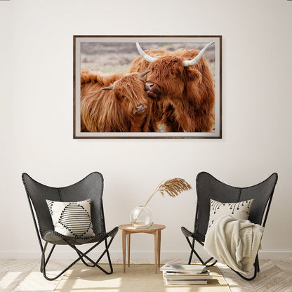 Highland Cow Couple Posters Prints Wall Decor-Horizontal Posters NOT FRAMED-CetArt-10″x8″ inches-CetArt