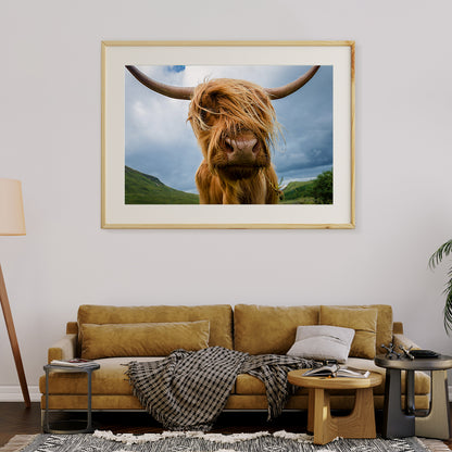 Highland Cow Poster Decorations Ideas-Horizontal Posters NOT FRAMED-CetArt-10″x8″ inches-CetArt