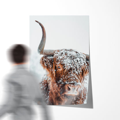 Scottish Highland Cow in Winter Posters Art Prints For Your Wall-Vertical Posters NOT FRAMED-CetArt-8″x10″ inches-CetArt